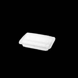 Sushi Box with AntiFog Lid